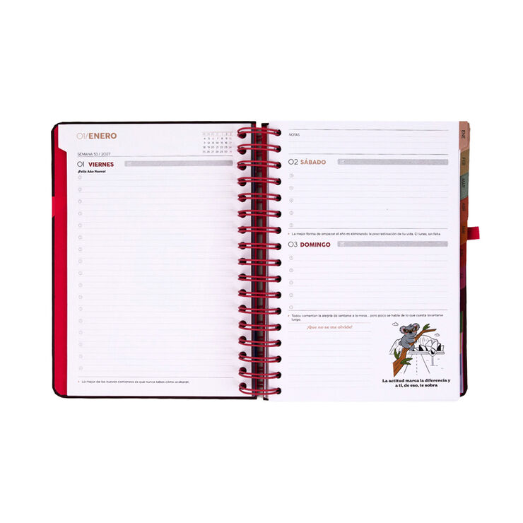 Agenda Mr. Wonderful Dia P&agrave;gina Full Aesthetic 2027 Multicolor