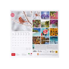 Calendario pared Legami 30X29 2024 4 Seassons