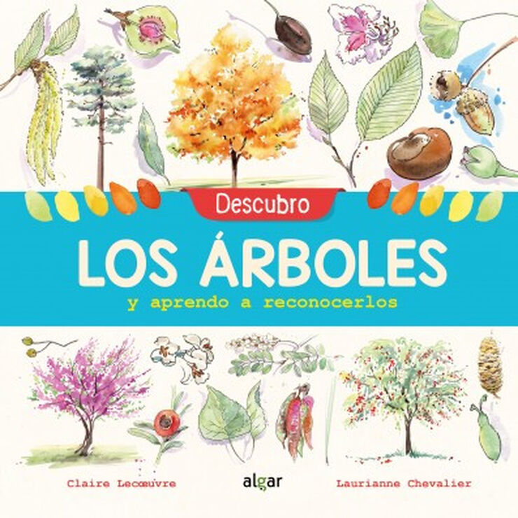 Descobrisc els arbres i aprenc a reconéi