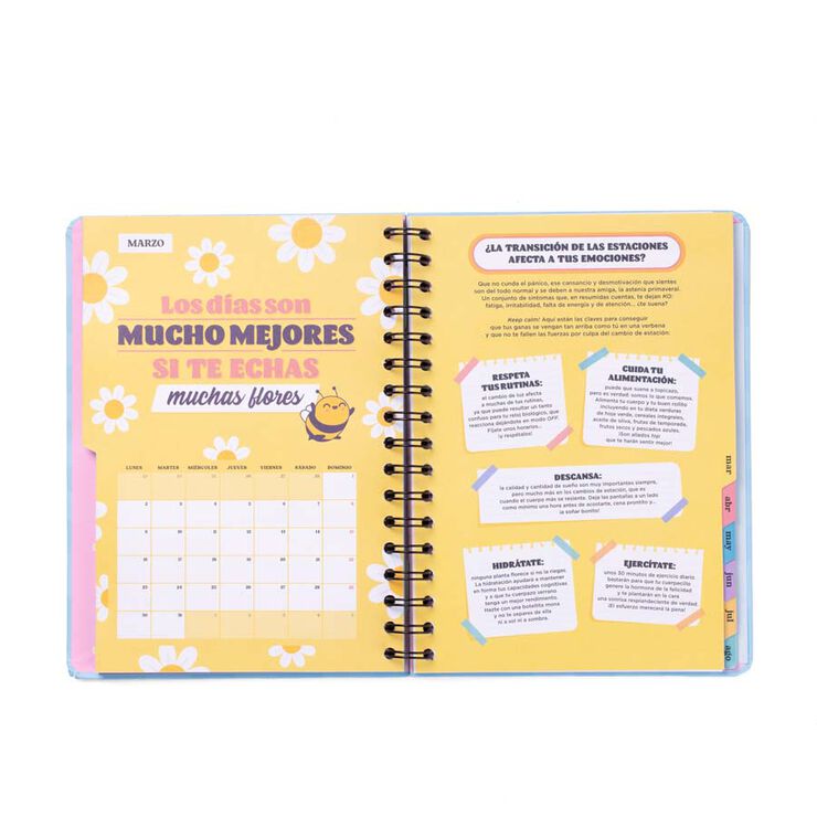 Agenda escolar Mr. Wonderful Wonder setm/vista cas 2025-26 Es hora de conseguirlo