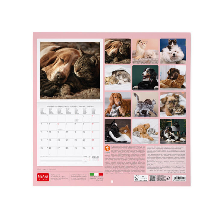 Calendario Legami 30x29 Pared Best Friends Multiling&uuml;e 2027