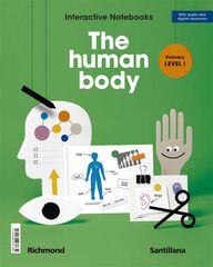Interactive Primary Level I Body