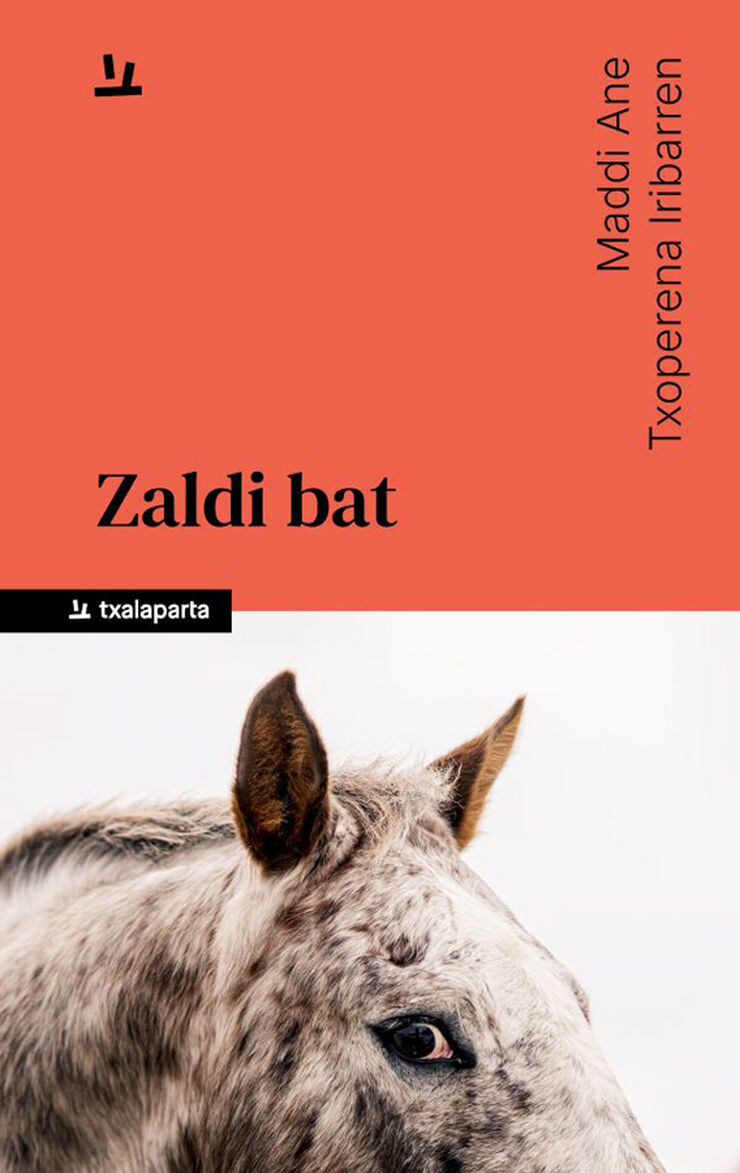 Zaldi bat