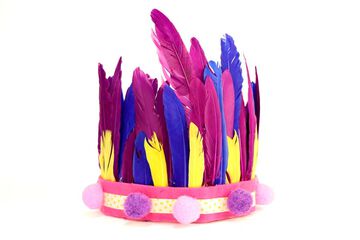 Plomes de colors 60u