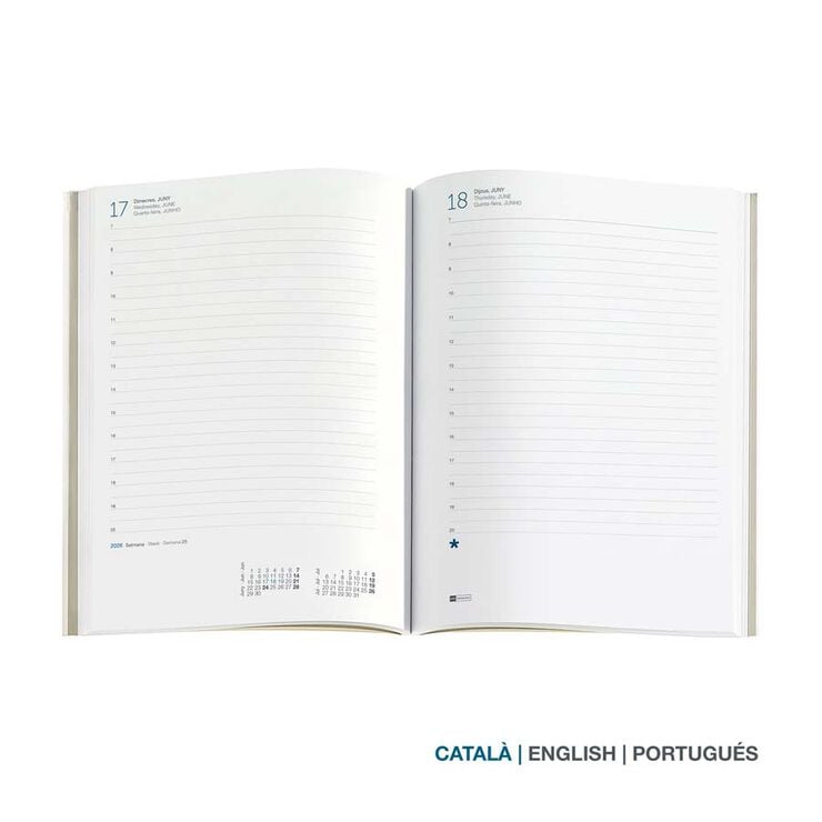 Agenda Miquelrius Plus 15x21 día/pág catalán 2026 Gradient
