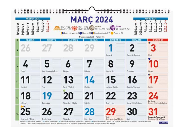 Calendario pared Finocam Color Mixto L 43X31 2024 cat