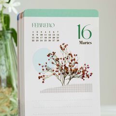 Calendario Sobremesa Tarjetas Tantanfan Castellano 2027 Defreds