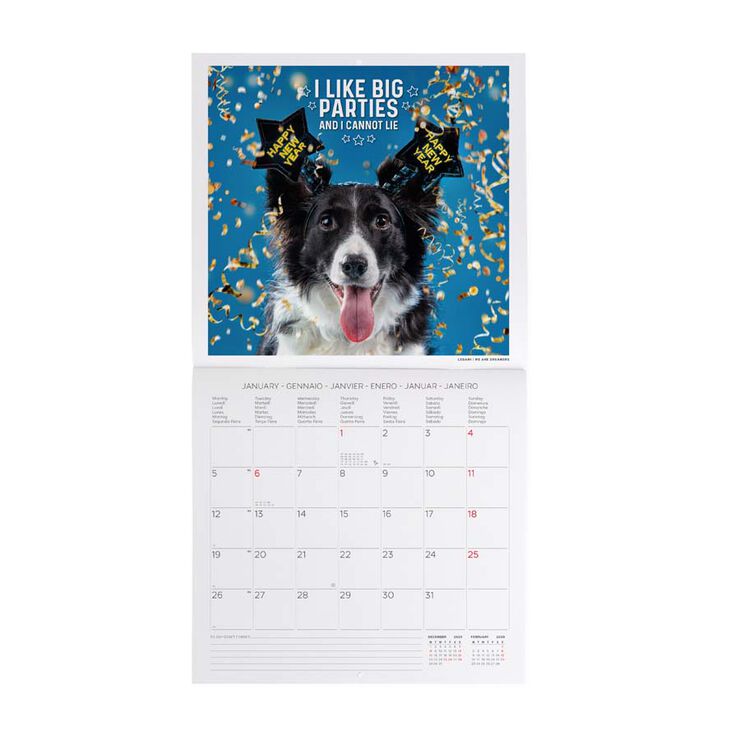 Calendario pared Legami 30x29cm 2026 Supawstar