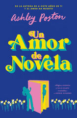 Un amor de novela Un amor de novela
