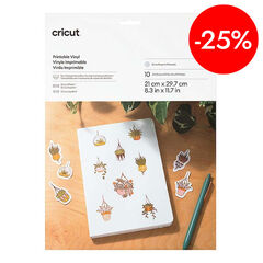 Vinilo imprimible A4 plata 10 hojas