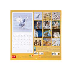 Calendario pared Legami 30X29 2024 Owls