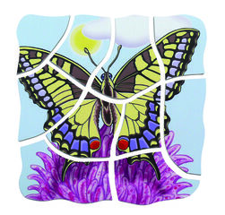 ENCAJE EVOLUTIVO MARIPOSA