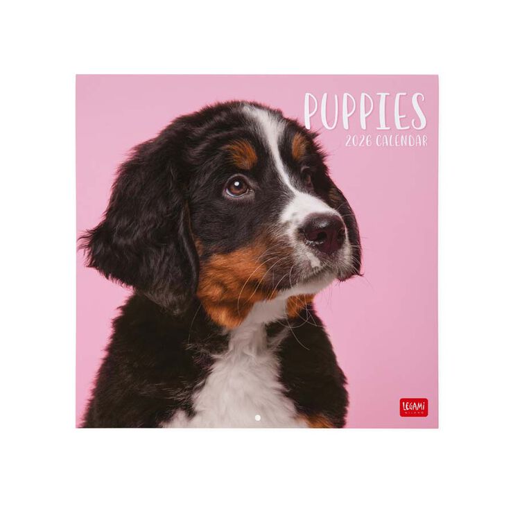 Calendario pared Legami 30x29cm 2026 Puppies