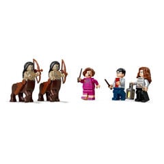 LEGO® Harry Potter Bosque Prohibido 75967