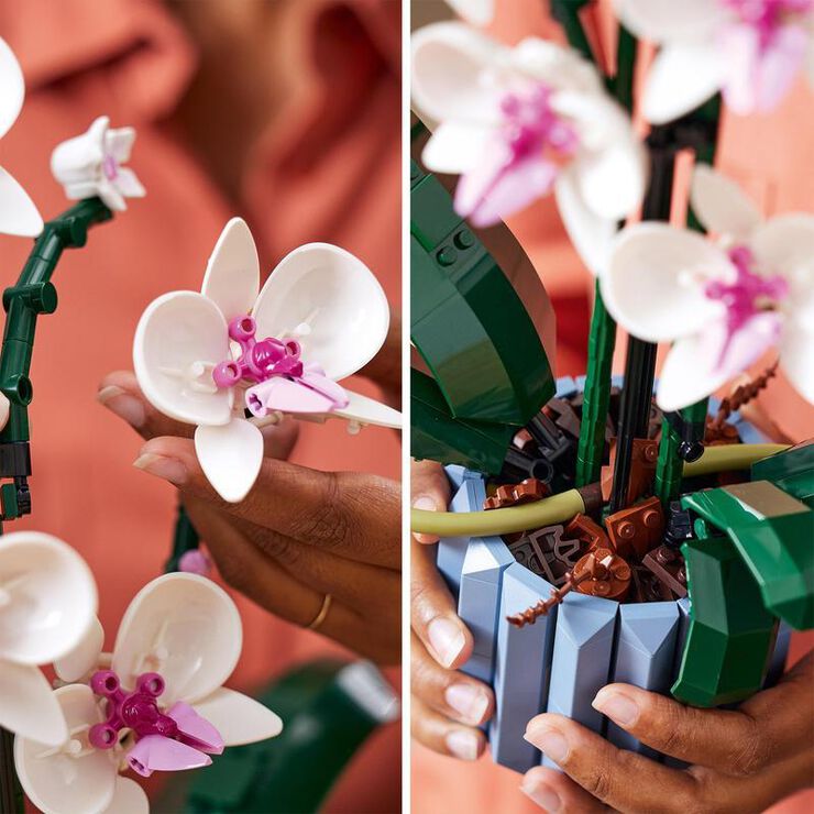 LEGO® Botanical Collection Orquídeas 10311