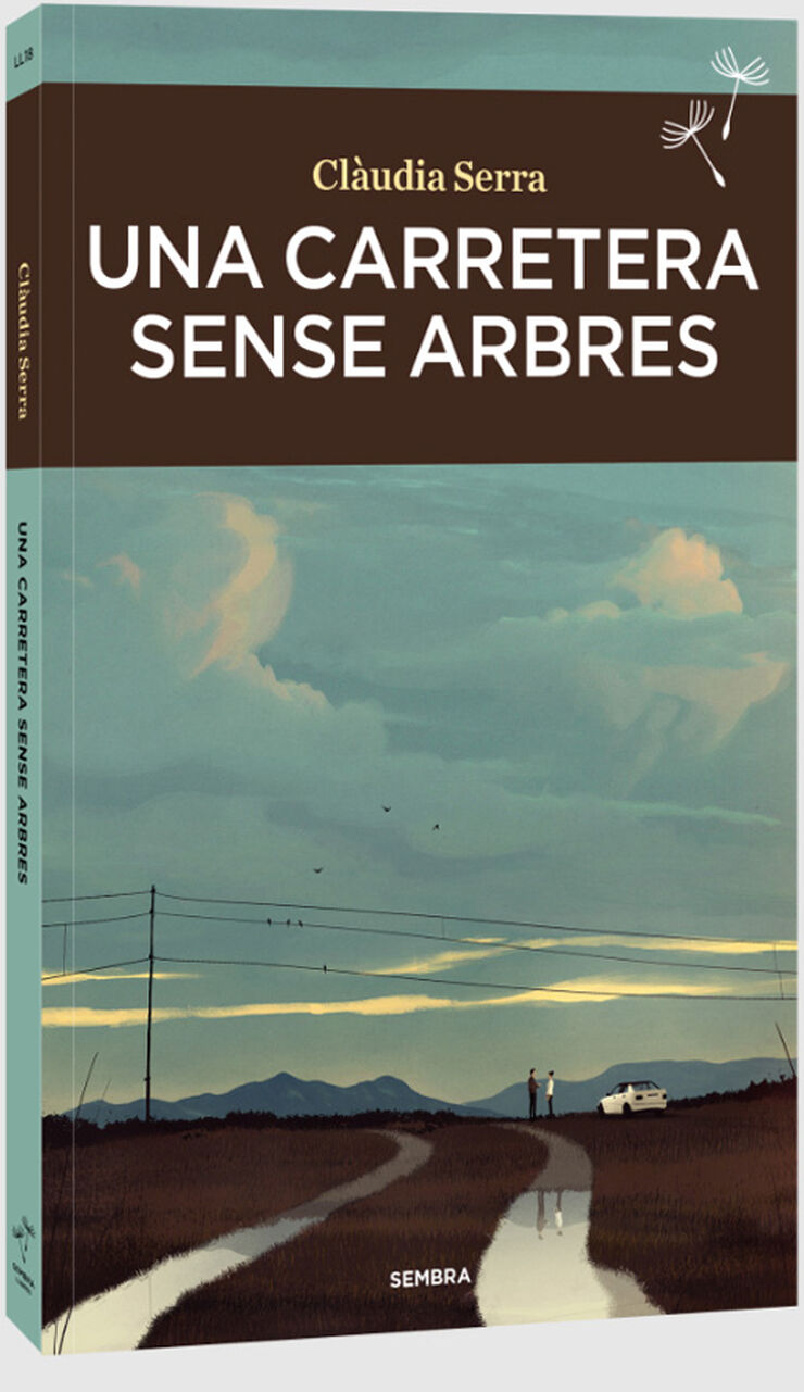Una carretera sense arbres