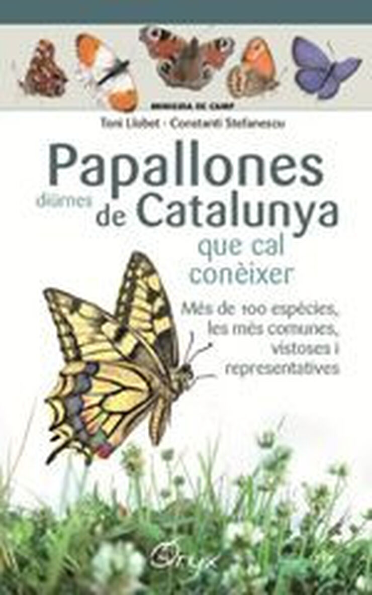 Papallones diürnes de Catalunya Papallones diürnes de Catalunya