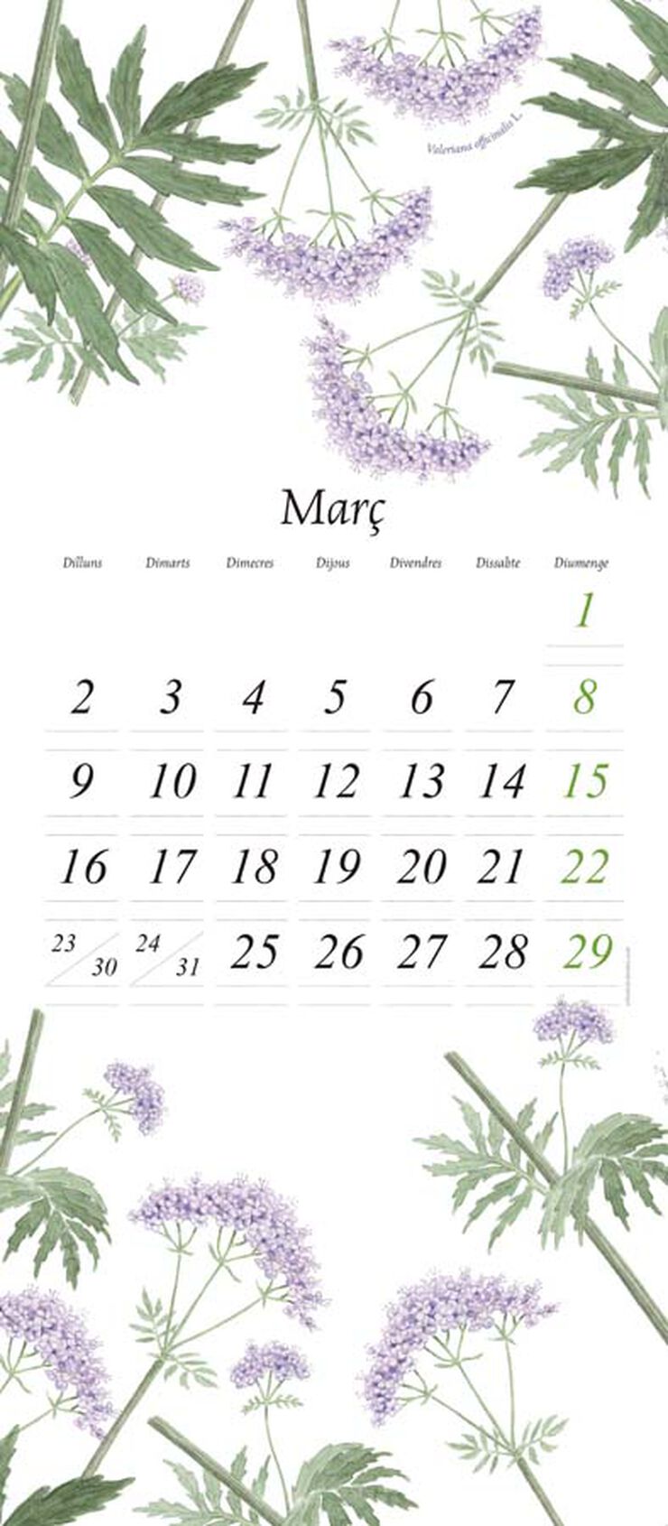 Calendari paret Flora 2026 catal&agrave;