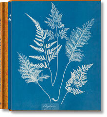 Anna Atkins. Cyanotypes Anna Atkins. Cyanotypes