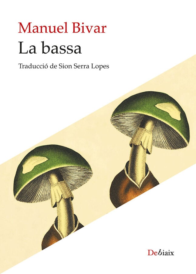 La bassa