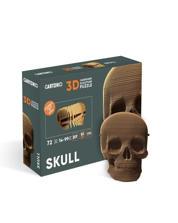 Cartonic Calavera