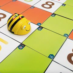 Estora números primària