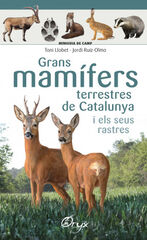 Grans mamífers terrestres de Catalunya i els seus rastres Grans mamífers terrestres de Catalunya i els seus rastres