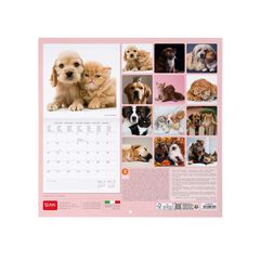 Calendario pared Legami 30x29cm 2026 Best Friends