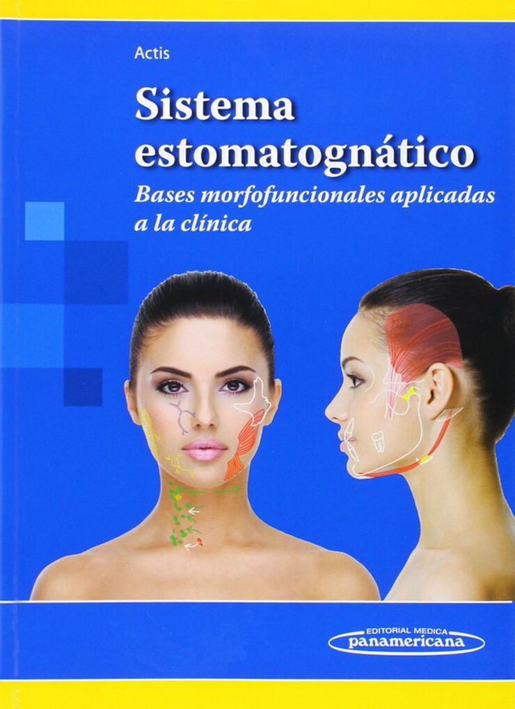 Sistema Estomatogn&aacute;tico. Bases Morfofuncionales Aplicadas a la Cl&iacute;nica