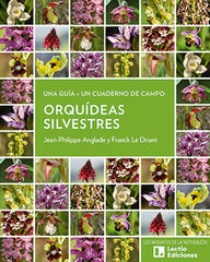 Orquídeas silvestres Orquídeas silvestres