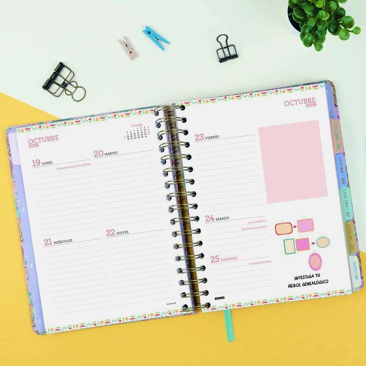 Agenda Finocam 16M Vitae 1/4 Sem/Vista Castellano 2026-27 Rosa