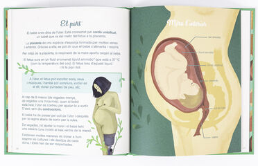 El petit atles de la intimitat: la vulva, la vagina, la regla i més