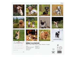 Calendario pared Finocam 18x18 2026 Dogs multilingüe