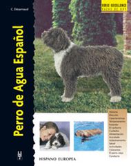 Perro de Agua Español Perro de Agua Español