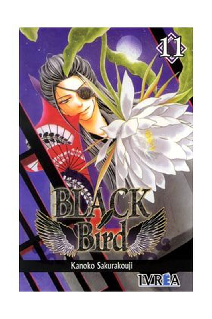 Black bird 11