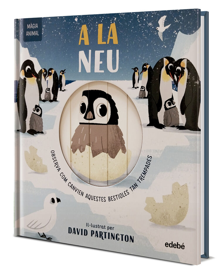 Màgia animal: A la neu