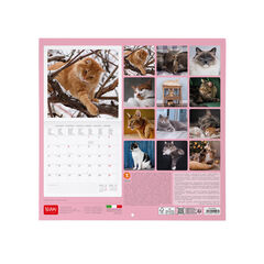 Calendario Legami 30x29 Pared Cats Multiling&uuml;e 2027