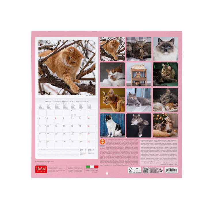 Calendario Legami 30x29 Pared Cats Multiling&uuml;e 2027