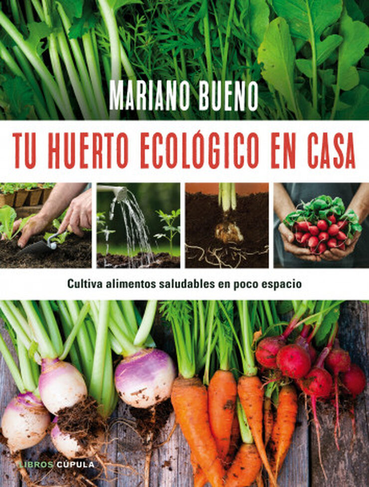 Tu huerto ecológico en casa