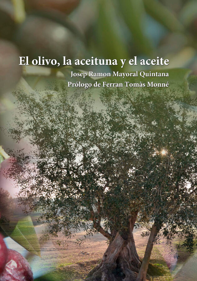 Olivo, la aceituna y el aceite, El