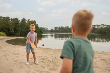 Juego de Palas