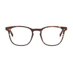 Gafas lectura Barner Dalston Tortoise +1,00