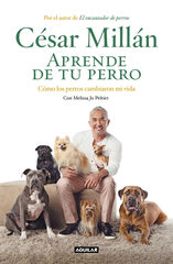 Aprende de tu perro Aprende de tu perro