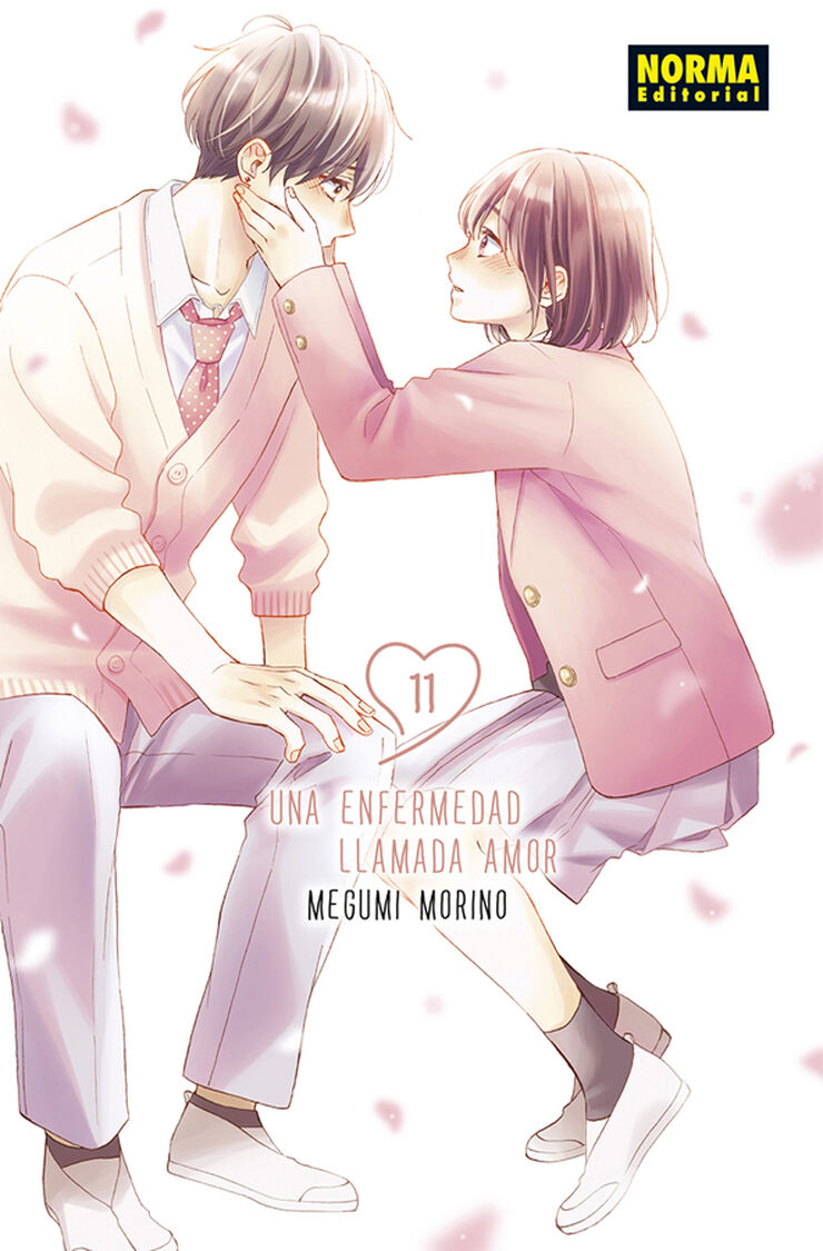 Una enfermedad llamada amor 11