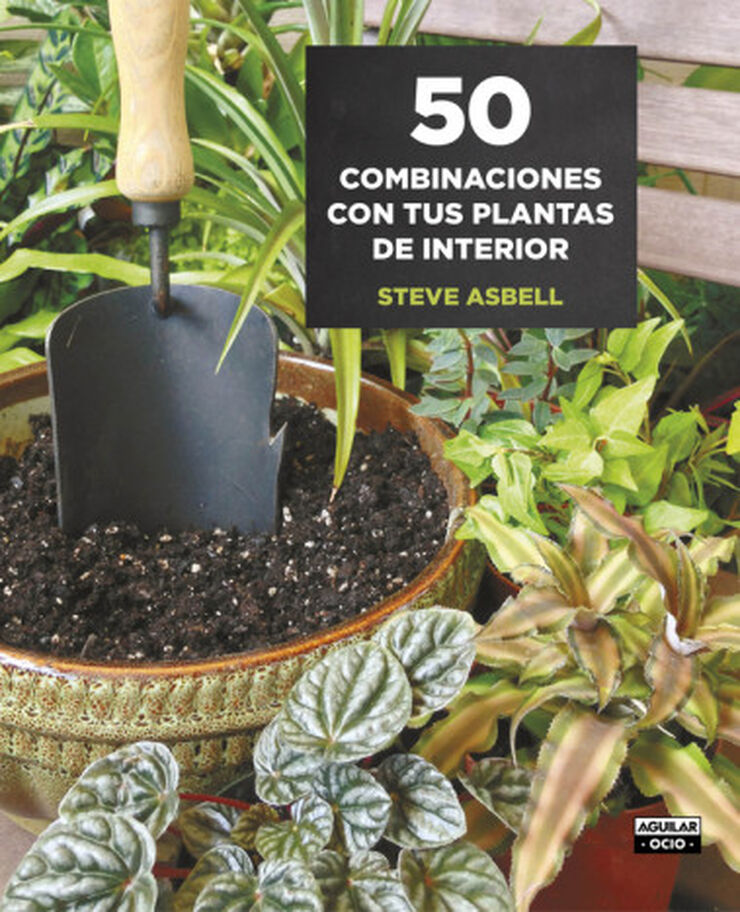 50 Combinaciones con tus plantas de inte