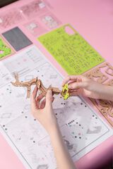 Maqueta Rolife Bonsai Sakura