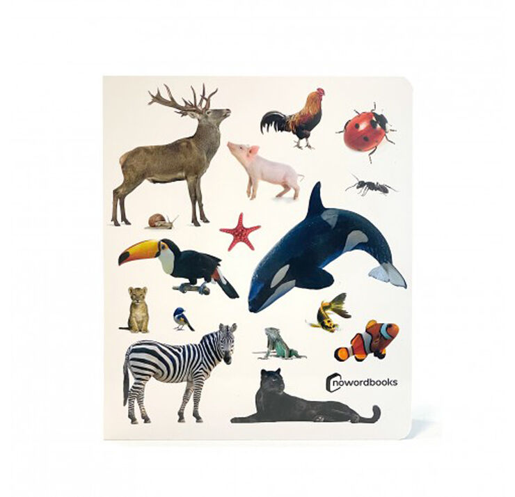 ¡Animales!