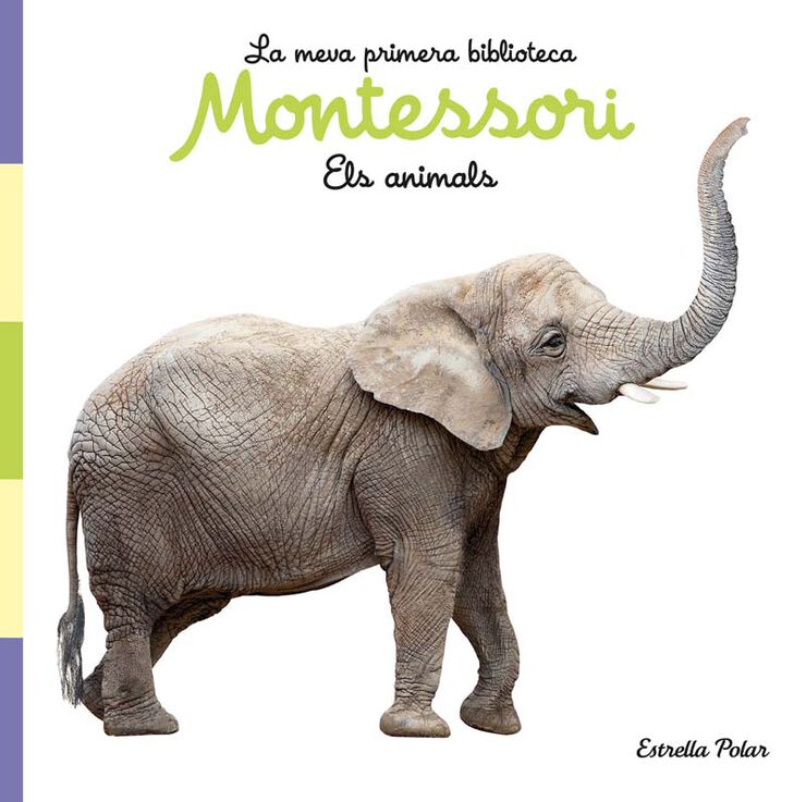 Colorear Por Números - Elefante Orejas de Mariposa