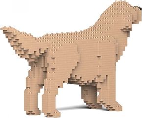 Jekca Golden Retriever