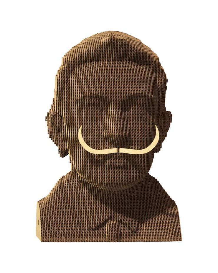 Cartonic Salvador Dal&iacute;